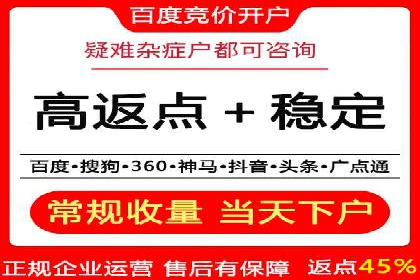 解析SEM竞价代运营公司的技术实力与服务优势